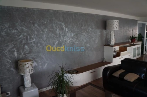 Placo platre et peinture