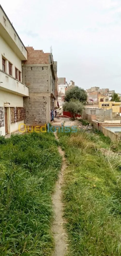 Vente Villa Ain temouchent Beni saf