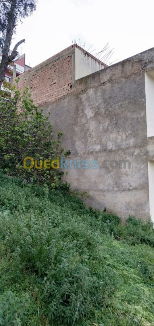 Vente Villa Ain temouchent Beni saf