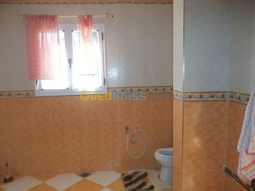 Batiment - Construction - Plomberie