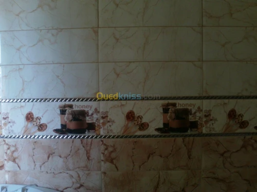 Vente Appartement F3 Tlemcen Hennaya