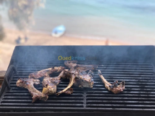 Location vacances Appartement Tipaza Tipaza