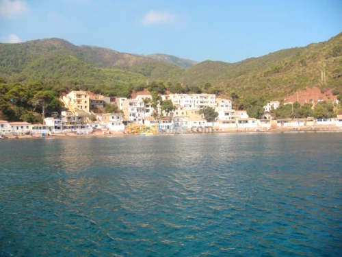 Location vacances Appartement Tipaza Tipaza