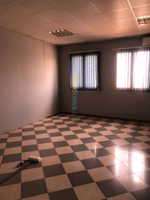 Location Hangar - Usine Alger Les eucalyptus