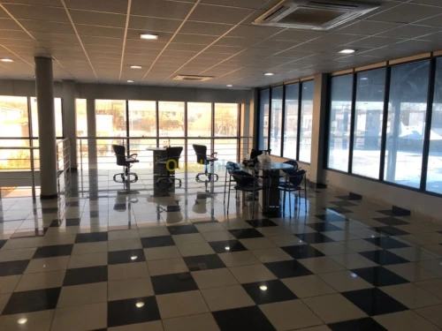 Location Hangar - Usine Alger Les eucalyptus