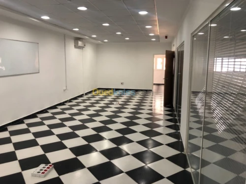 Location Hangar - Usine Alger Les eucalyptus