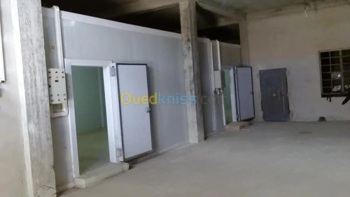 location chambre froide