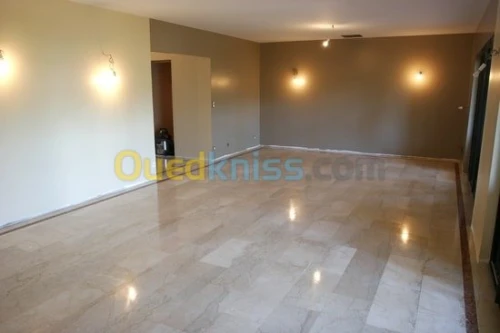 Lustreuse Pour Sol Grande surfaces 