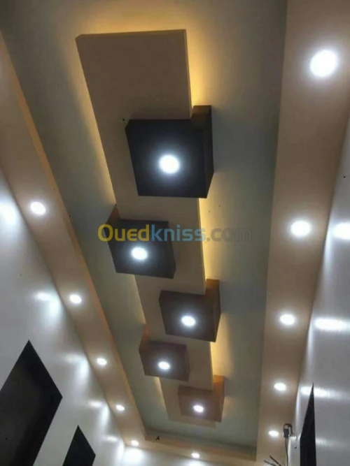 Travaux placo plâtre b13 06 