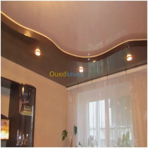 Travaux placo plâtre b13 06 