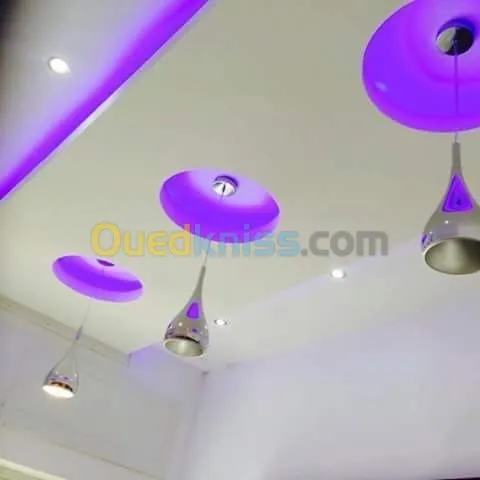 Travaux placo plâtre b13 06 