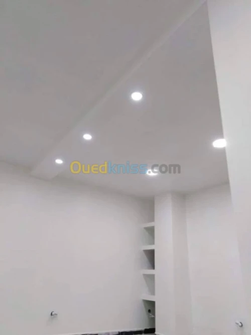 Placoplatre, pvc, peinture,parquet,.. 