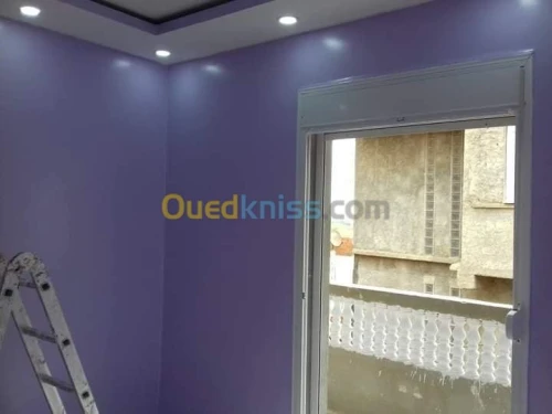 Placoplatre, pvc, peinture,parquet,.. 