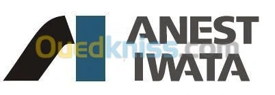 Pistolet manuel gravité W400WBX IWATA