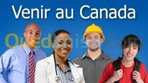démarches d"études au canada