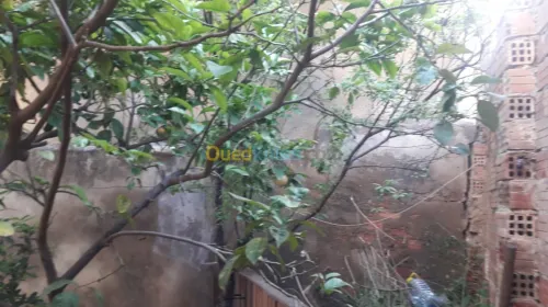 Vente Villa Alger Hussein dey