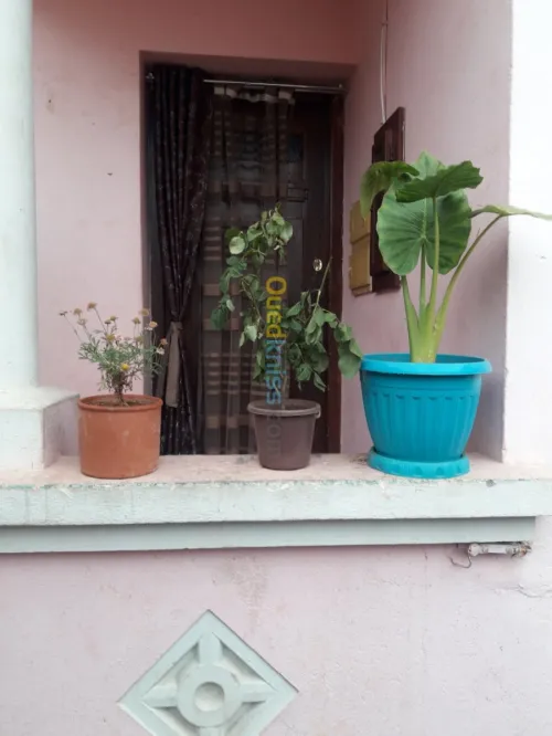 Vente Villa Alger Hussein dey