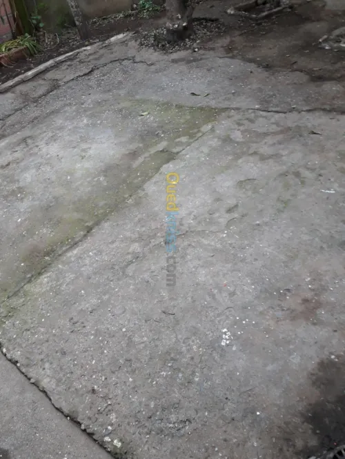 Vente Villa Alger Hussein dey