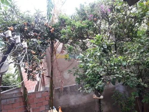 Vente Villa Alger Hussein dey