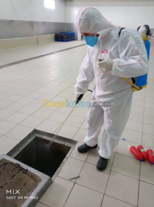 Dératisation : rat et souris, Désinsectisation : cafards, fourmis, puces, punaises de lit. Démoustication. Désinfection