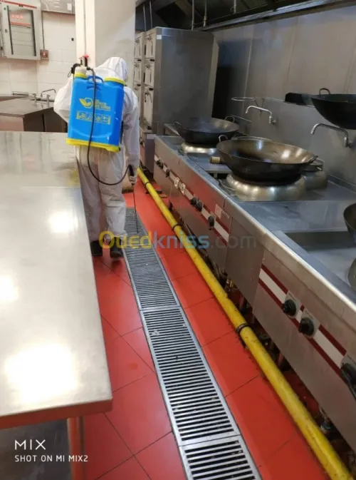 Dératisation : rat et souris, Désinsectisation : cafards, fourmis, puces, punaises de lit. Démoustication. Désinfection