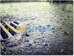 nettoyage debouchage curage vidange