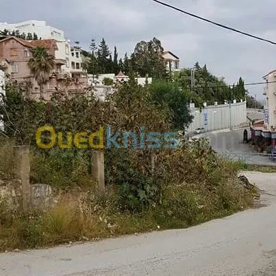 Vente Villa Annaba Annaba