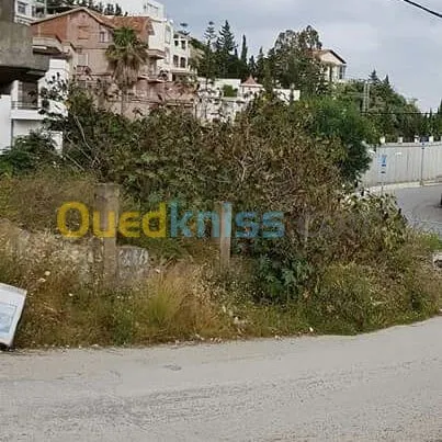 Vente Villa Annaba Annaba