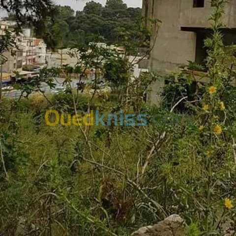 Vente Villa Annaba Annaba