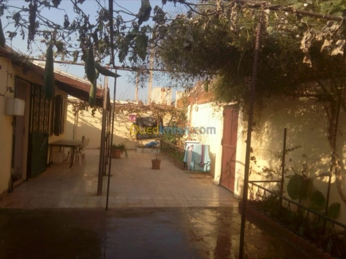 Vente Niveau De Villa F4 Oran Ain el bia