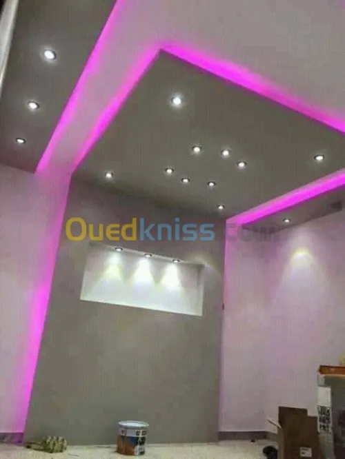 Placo Platre , PVC et Peinture