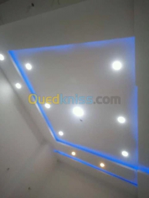 Placo Platre , PVC et Peinture