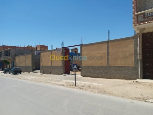 Vente Terrain Msila Sidi aissa