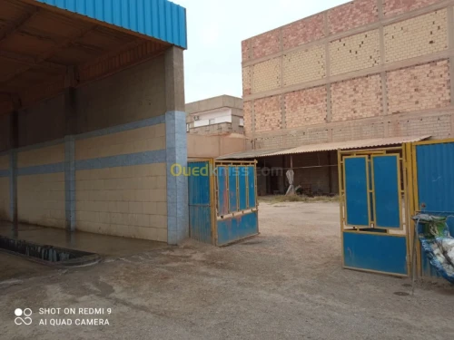 Vente Terrain Msila Sidi aissa