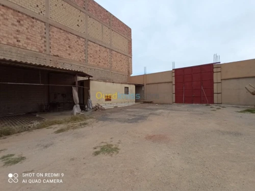 Vente Terrain Msila Sidi aissa