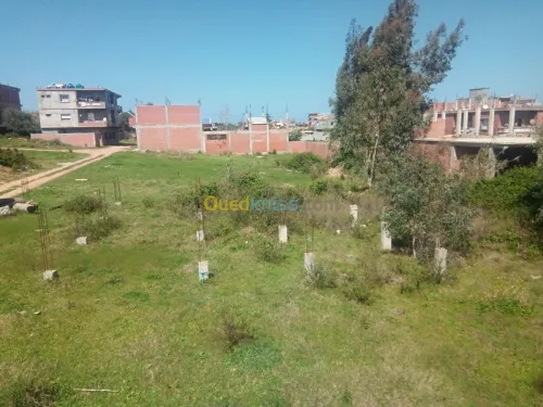 Vente Terrain Jijel Emir abdelkader