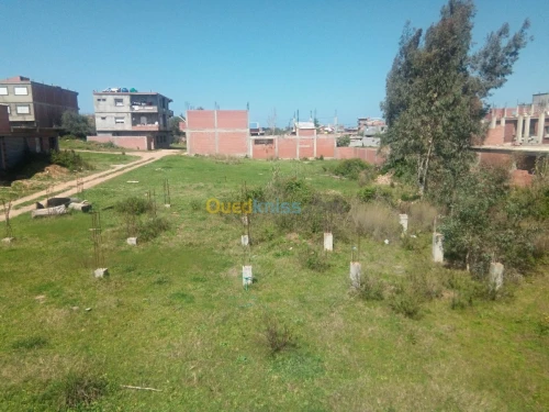 Vente Terrain Jijel Emir abdelkader
