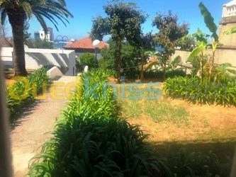 Cherche achat Villa Alger Ben aknoun