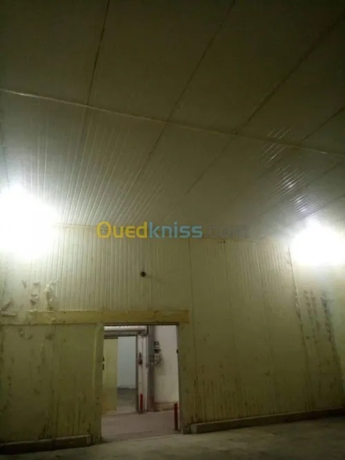 Location: chambre froide