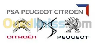 reprogrammation EGR FAP Adblue