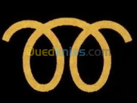 reprogrammation EGR FAP Adblue