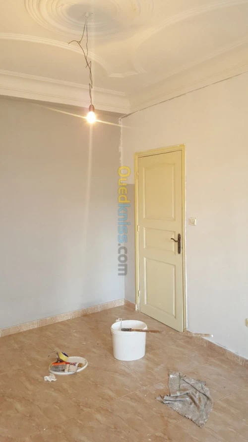 Peintre professionnel