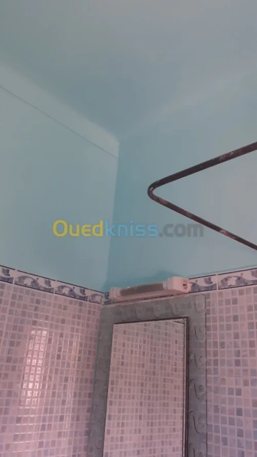 Peintre professionnel