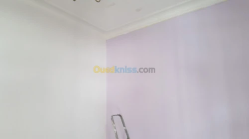 Peintre professionnel
