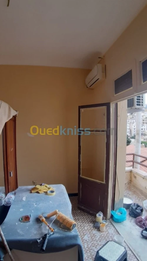 Peintre professionnel