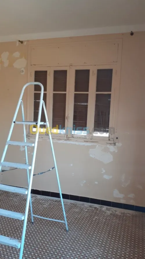 Peintre professionnel