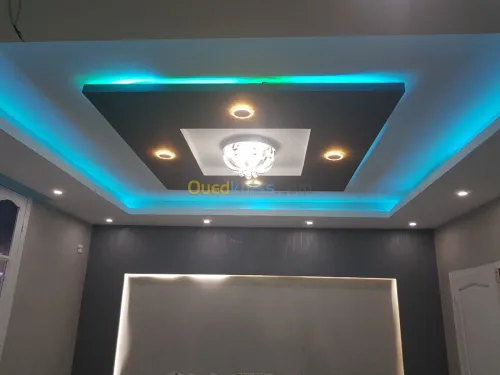 Placo platre et pientur décoration