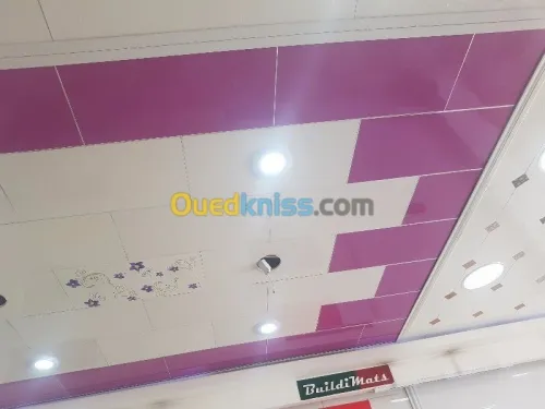 Placo platre et pientur décoration