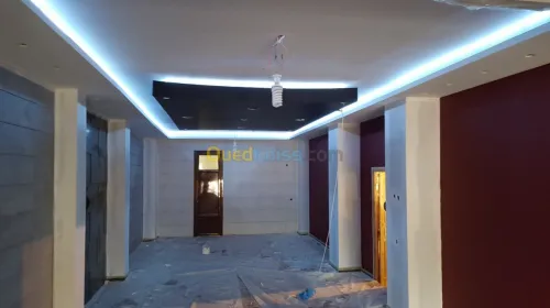Placo platre et pientur décoration