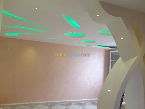 Placo platre et pientur décoration
